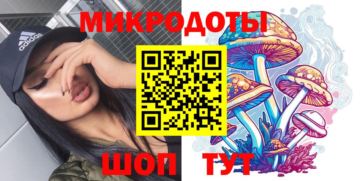 Псилоцибиновые грибы мицелий Жигулёвск