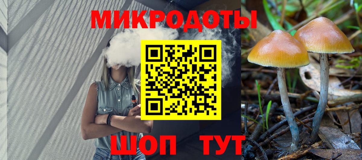 Жигулёвск  Псилоцибиновые грибы Cubensis  Вход с VPN 
